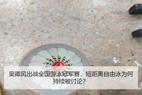 吴卿风出战全国游泳冠军赛，短距离自由泳为何持续被讨论？